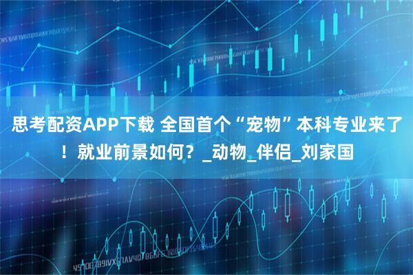 思考配资APP下载 全国首个“宠物”本科专业来了！就业前景如何？_动物_伴侣_刘家国