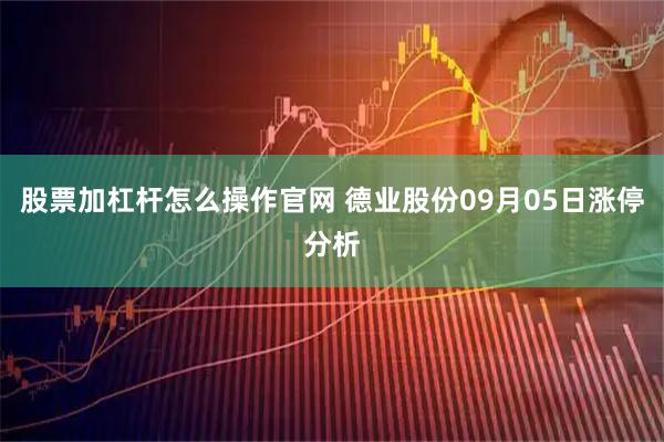 股票加杠杆怎么操作官网 德业股份09月05日涨停分析