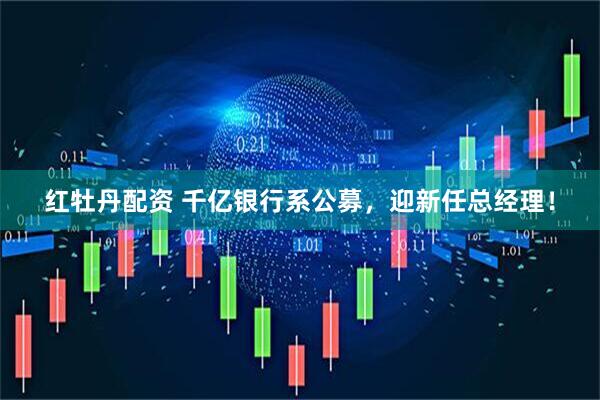 红牡丹配资 千亿银行系公募，迎新任总经理！
